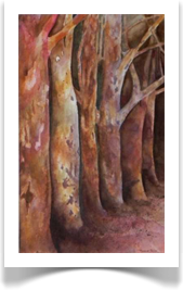 Bluegumtrees
